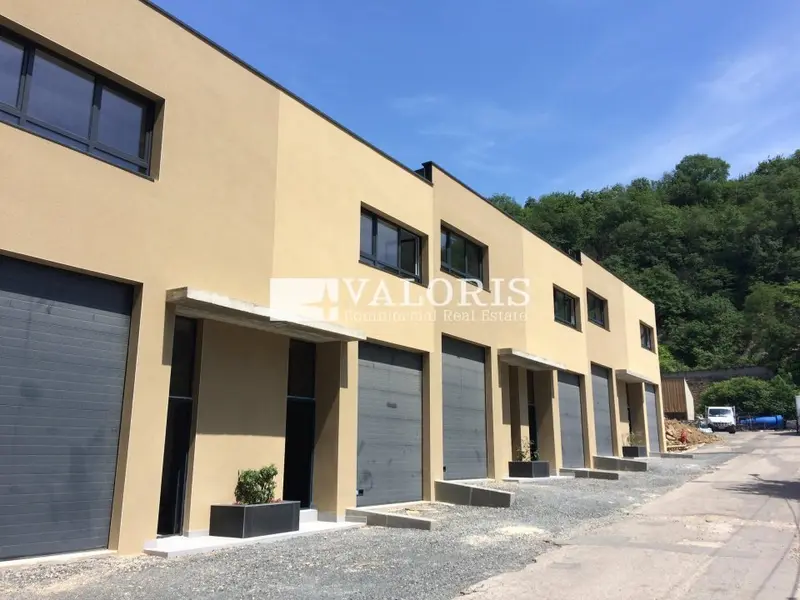 A louer Locaux d'activité 1194m² Albigny-sur-Saône