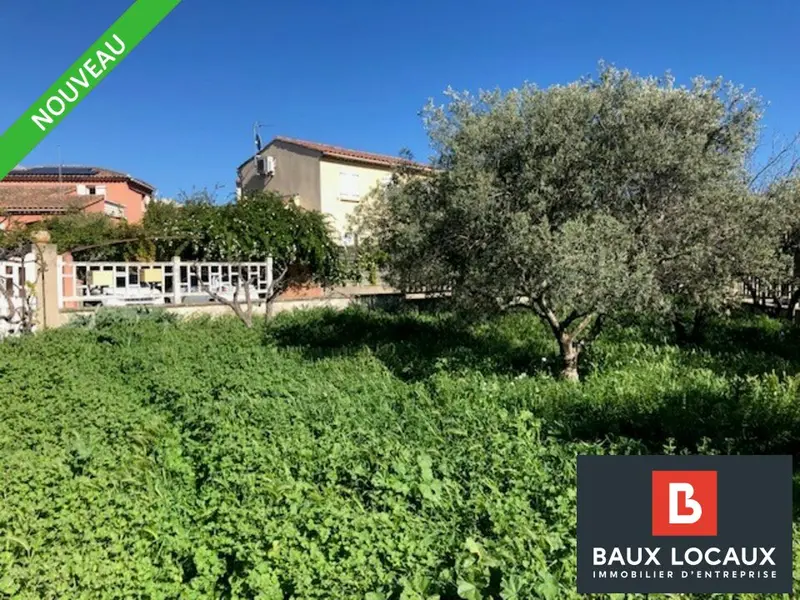 TERRAIN PLAT A VENDRE DANS LE CENTRE DE LA FARE LES OLIVIERS