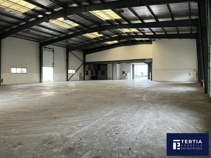 A louer Locaux d'activité 1620m² Mauguio