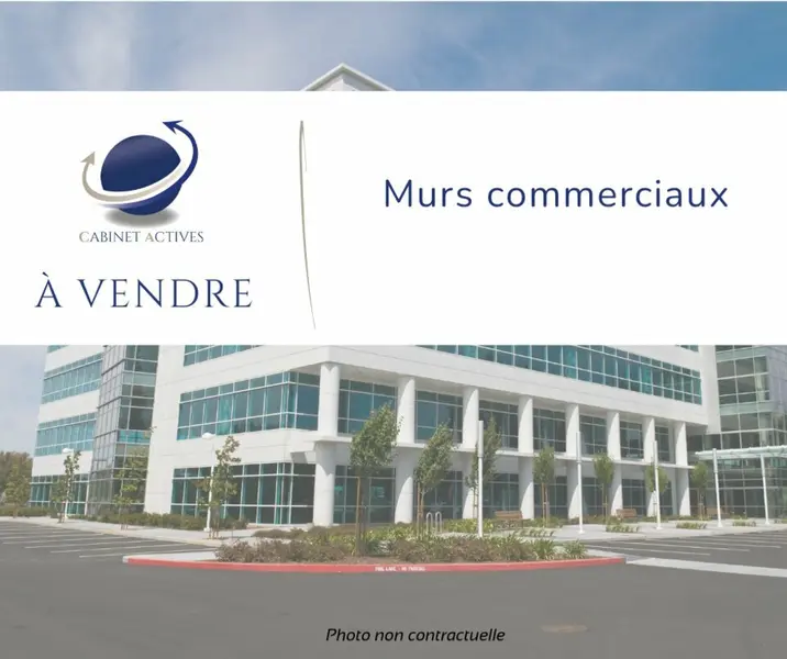 LOCAL PROFESSIONNEL / ENTREPÔT (38)