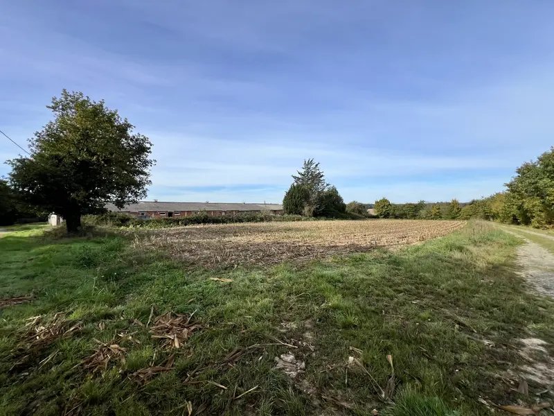 Terrain Agricole