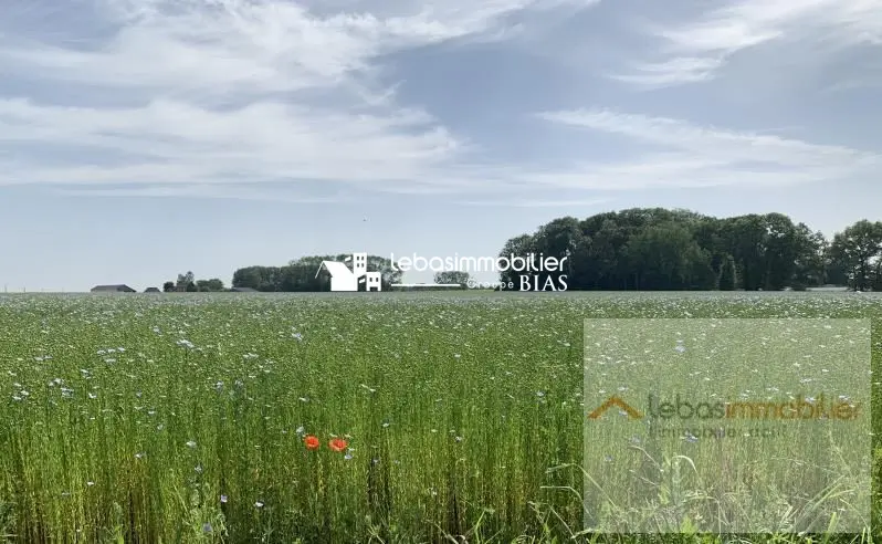 TERRAIN A BATIR YVETOT - 519 m2