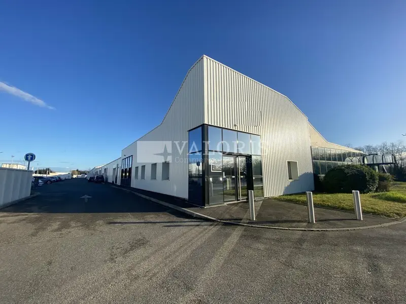 A louer Locaux d'activité 1186m² Reyrieux