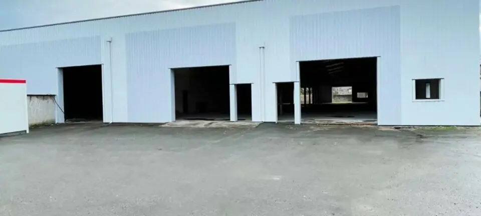 A vendre Locaux d'activité 1094m² Belleville