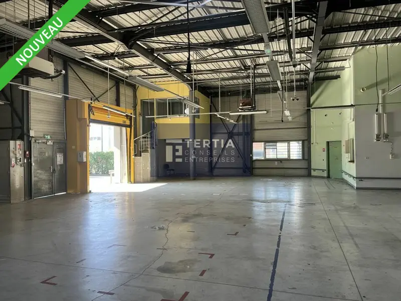 A louer Locaux d'activité 616m² Vendargues