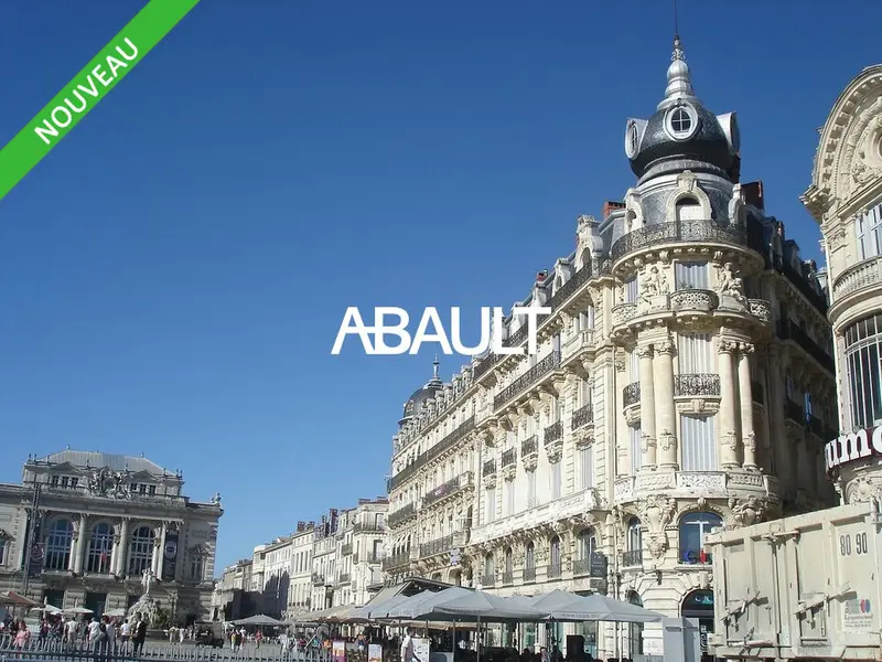A vendre Local commercial  228m² Montpellier
